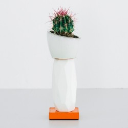 Kaktus København, una tienda especializada en cactus muy cool